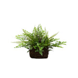 11" Artificial Mixed Fern Plant with Twig and Moss Basket