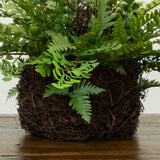 11" Artificial Mixed Fern Plant with Twig and Moss Basket
