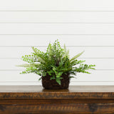 11" Artificial Mixed Fern Plant with Twig and Moss Basket