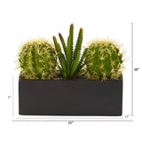 11” Cactus Succulent Artificial Plant in Black Planter