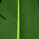 11' Artificial Traveler's Palm Tree
