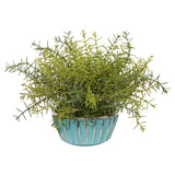 11” Rosemary Artificial Plant in Turquoise Bowl with Silver Trimming