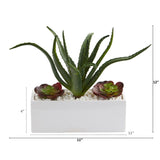 12” Aloe and Echeveria Succulent Artificial Plant in White Planter