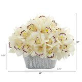 12” Cymbidium Orchid Arrangement in Tin White Vase