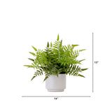 13" Artificial Boston Fern Plant with Decorative Planter
