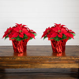 13" Artificial Poinsettia Arrangement in Red Wrapped Planter - Set of 2