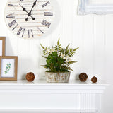 13” Orchid Phalaenopsis, Clover and Fern Artificial Plant in Weathered Oak Planter