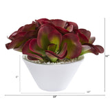 13” Succulent Artificial Plant in White Bowl