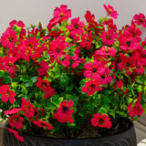 13" UV Daisy Flower Bush Plant (Indoor/Outdoor)- Set of 12