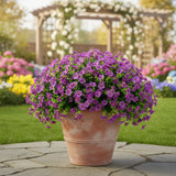 13" UV Daisy Flower Bush Plant (Indoor/Outdoor)- Set of 12