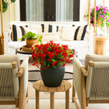 13" UV Daisy Flower Bush Plant (Indoor/Outdoor)- Set of 12