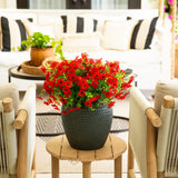 13" UV Daisy Flower Bush Plant (Indoor/Outdoor)- Set of 12