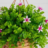 13” UV Resistant Artificial Lily and Eucalyptus Woven Hanging Basket (Indoor/Outdoor)