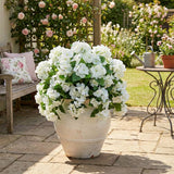 14" UV Resistant Artificial Hydrangea Bush (Indoor/Outdoor) - Set of 6