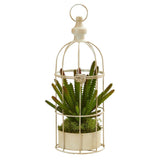 15” Cactus Succulent Artificial Plant in Decorative Cage