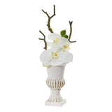 15” Phalaenopsis Orchid Arrangement in White Urn (Set of 2)