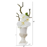 15” Phalaenopsis Orchid Arrangement in White Urn (Set of 2)