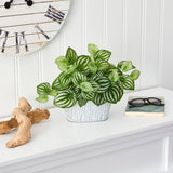 15” Watermelon Peperomia Artificial Plant in White Tin Planter (Real Touch)