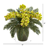 16” Phalaenopsis Orchid and Cycas Plant in Planter