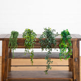 17" Artificial Hanging Plants - Set of 4