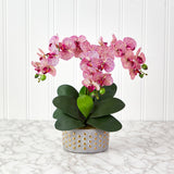 17” Phalaenopsis Orchid Artificial Arrangement in Bowl with Gold Trimming