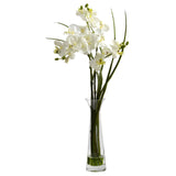18" Artificial Mini Phalaenopsis In Colored Vases (Set of 4)"