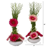18” Gerber Daisy and Grass Arrangement in Vase (Set of 2)