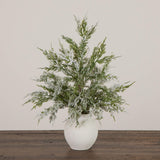 18" Pre-Lit Artificial Mini Snowed Cypress Christmas Tree with 12 LED Lights in  White Ceramic Planter
