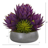 18” Musella and Succulent Arrangement in Gray Garden Vase