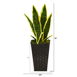 18” Sansevieria Artificial Plant in Embossed Black Planter