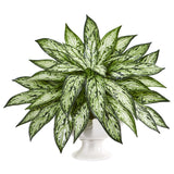 18” Silver Queen Artificial Plant in White Pedestal