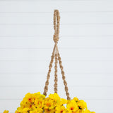 19” Geranium Hanging Basket UV Resistant (Indoor/Outdoor)