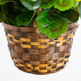 19” Geranium Hanging Basket UV Resistant (Indoor/Outdoor)