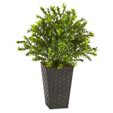 19” Sweet Grass Artificial Plant in Embossed Black Planter (Indoor/Outdoor)