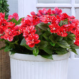 19" UV Resistant Artificial Azalea Bush (Indoor/Outdoor) - Set of 3
