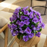19" UV Resistant Artificial Azalea Bush (Indoor/Outdoor) - Set of 3