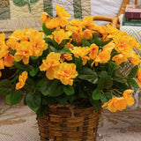 19" UV Resistant Artificial Azalea Bush (Indoor/Outdoor) - Set of 3