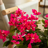19" UV Resistant Artificial Bougainvillea Bush (Indoor/Outdoor) - Set of 4