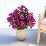 19" UV Resistant Artificial Bougainvillea Bush (Indoor/Outdoor) - Set of 4