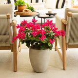 19" UV Resistant Artificial Bougainvillea Bush (Indoor/Outdoor) - Set of 4