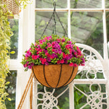 19” UV Resistant Artificial Dandelion and Aptenia Plant in Hanging Basket (Indoor/Outdoor)