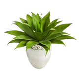 2’ Agave Succulent Artificial Plant in White Planter