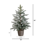 2' Artificial Frosted Christmas Tree in Decorative Basket