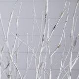 2' Pre-Lit Artificial White Birch Centerpiece with 84 LED Lights