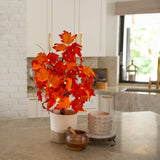 2' Pre-Lit Bright Autumn Maple Artificial Fall Tree with 24 Warm White LED Lights and Detachable Base