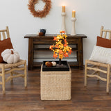 2' Pre-Lit Autumn Maple Artificial Fall Tree with 24 Warm White LED & Pumpkin Shaped Lights with Detachable Base