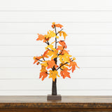 2' Pre-Lit Autumn Maple Artificial Fall Tree with 24 Warm White LED & Pumpkin Shaped Lights with Detachable Base