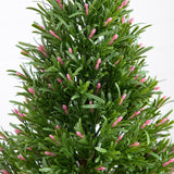 2' UV Resistant Artificial Rosemary Cone Topiary Tree (Indoor/Outdoor)