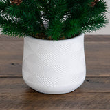 20” Artificial Christmas Tree with Pinecones in White Ceramic Planter