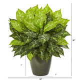 20” Dieffenbachia Artificial Plant in Green Planter